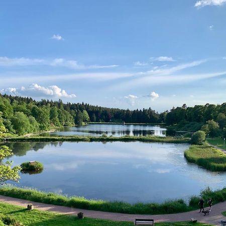 Apartment Seeblick Am Bocksberg - Hahnenklee "Vier Jahreszeiten" กอสลาร์ ภายนอก รูปภาพ