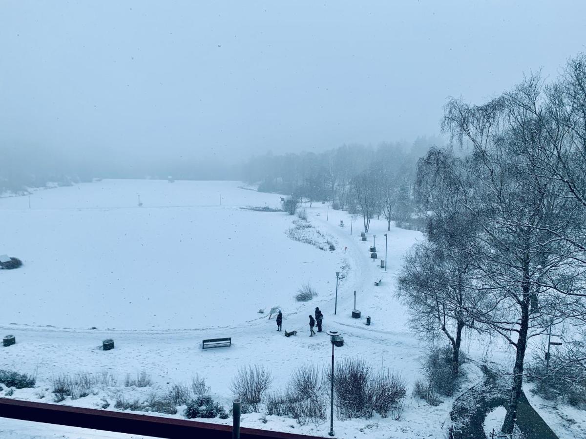 Apartment Seeblick Am Bocksberg - Hahnenklee "Vier Jahreszeiten" กอสลาร์ ภายนอก รูปภาพ